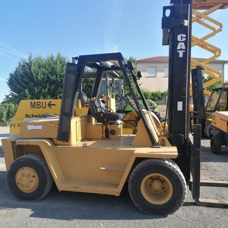 cat 3